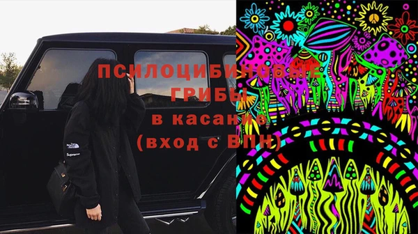 дживик Переславль-Залесский