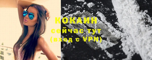 прущая мука Пересвет