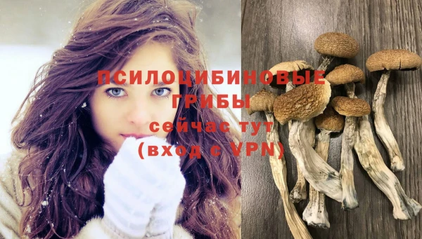 таблы Армянск