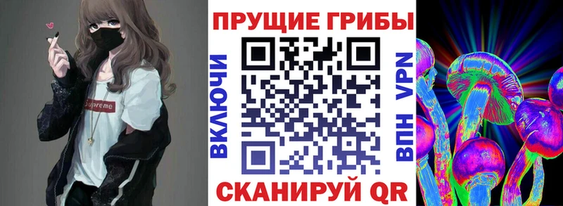 Псилоцибиновые грибы мухоморы  Берёзовка 