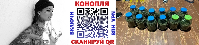 Канабис OG Kush Берёзовка